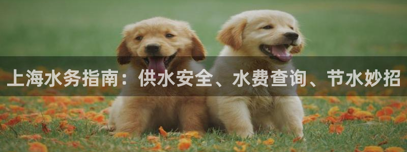 QY球友会官网