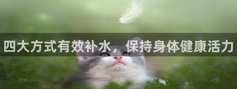 球友会qyh88bet