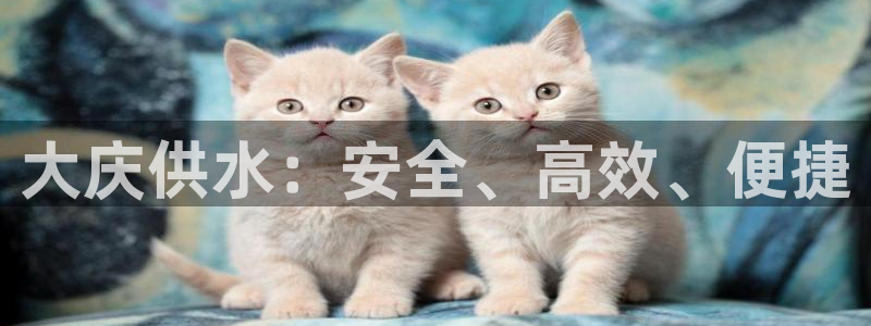 球友会不出款