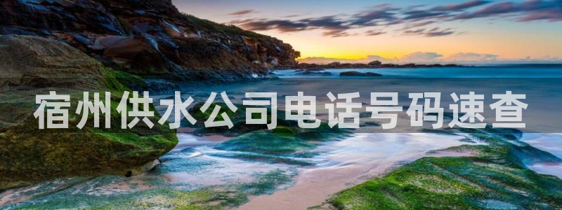 球友会审核