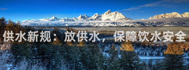 球友会下载