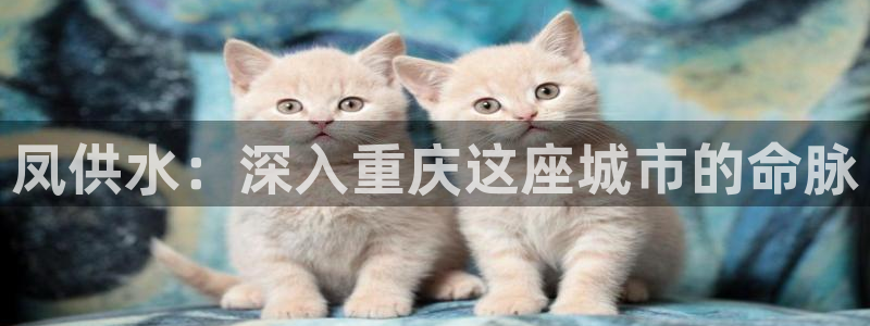 球友会比尔森胜利塔波斯科