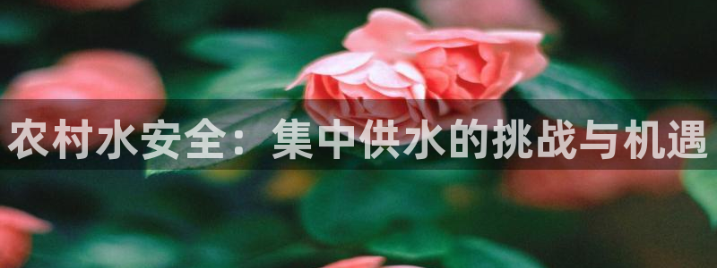 球友会拼音