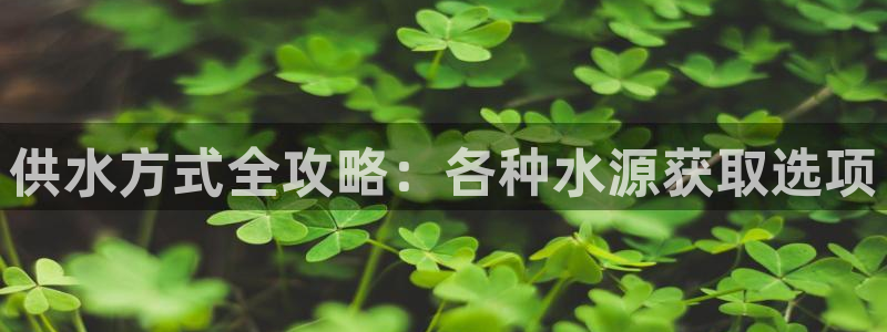 球友会官网入口网址