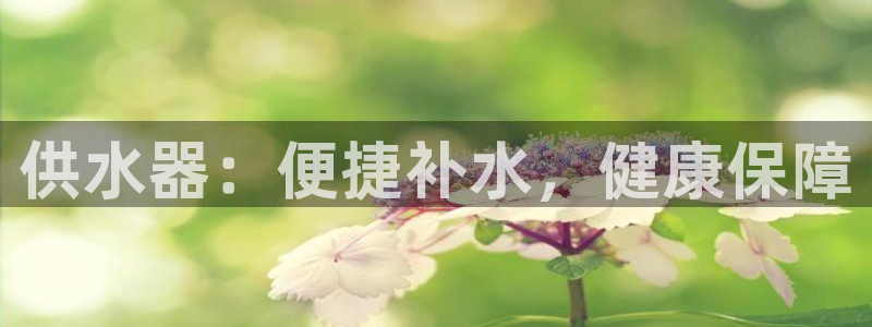 球友会app网址