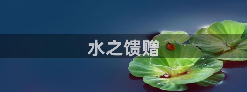 球友会app安全吗可靠吗是真的吗