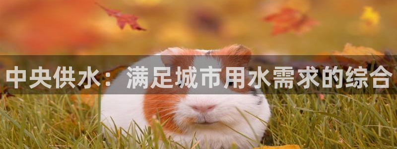球友会官网登录入口网址