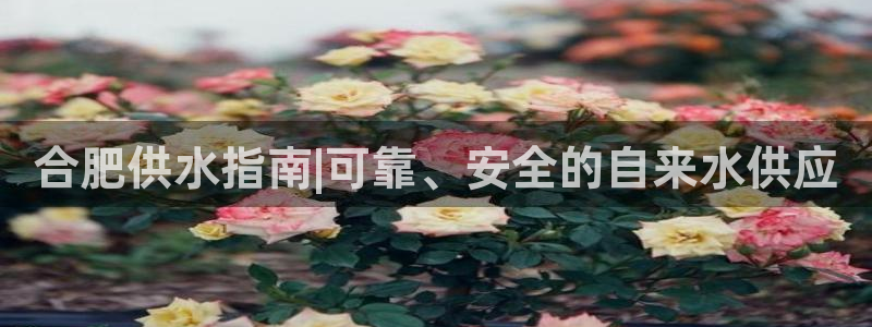 球友会下载安装