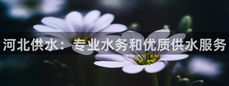 球友会官方网站