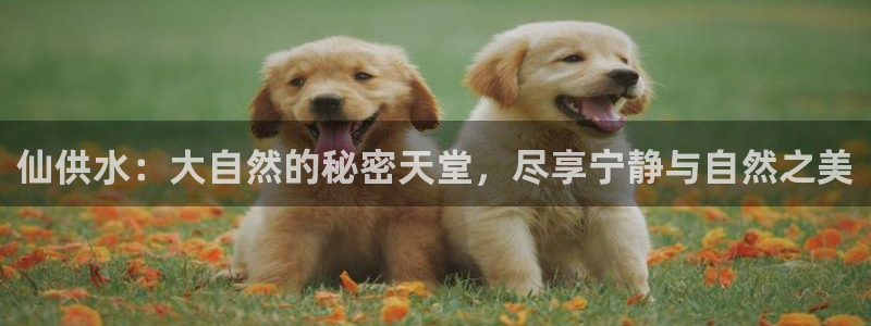 球友会体育app下载安卓手机