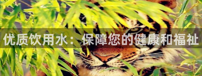球友会比赛结果查询官网