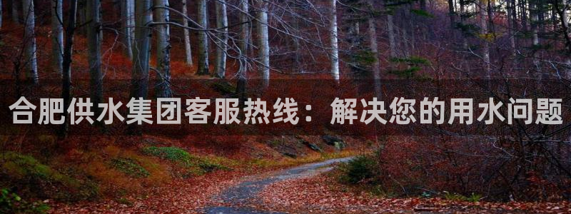球友会体育app下载官网