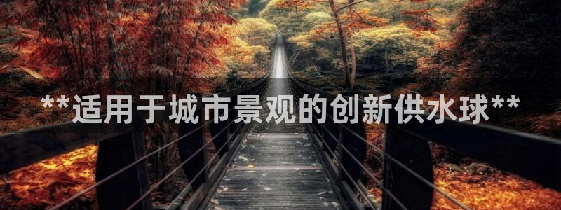 球友会体育