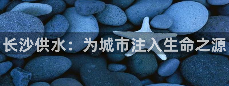 qy球友会体育