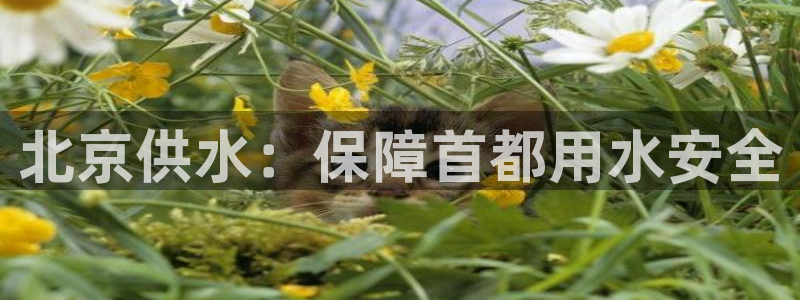 球友会审核