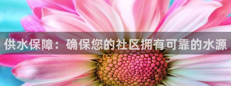 球友会qyh88bet