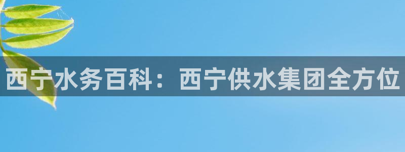 qy球友会体育官方平台