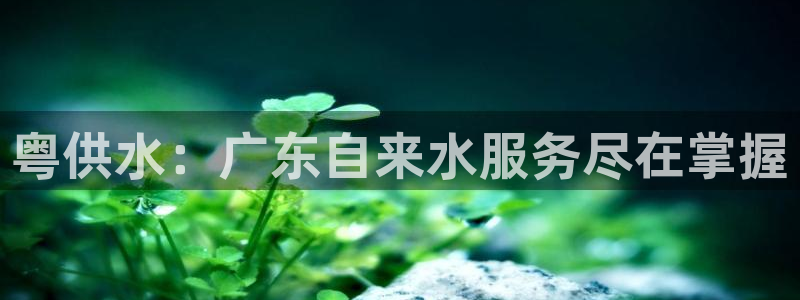 球友会登录网站