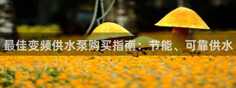 球友会logo