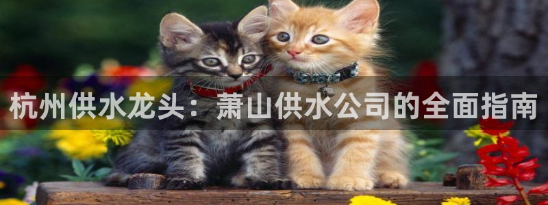 球友会登录网站怎么登录