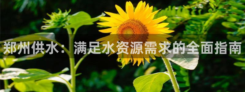 球友会聚餐发言
