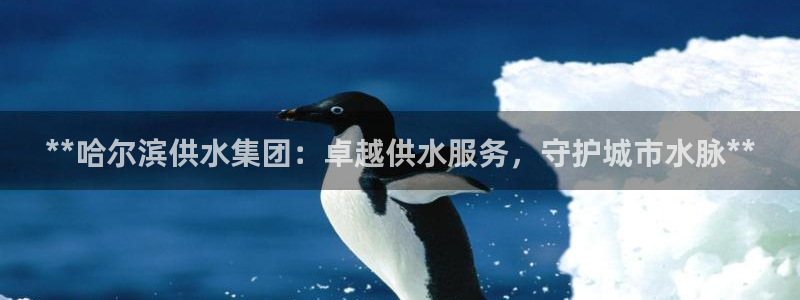 球友会官网登录入口
