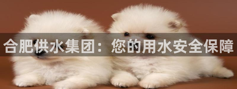 球友会的会字是哪个会
