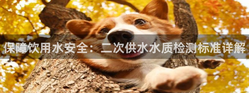 球友会提款