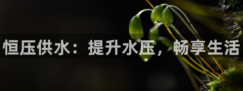 球友会兑换码