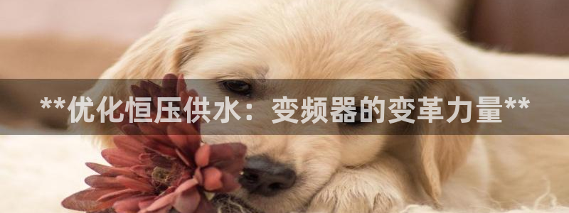 球友会app网址