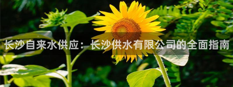 球友会app安全吗可靠吗是真的吗