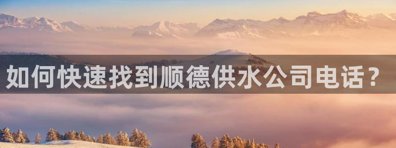 球友会qy
