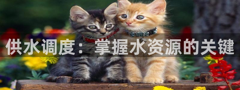 球友会娱乐