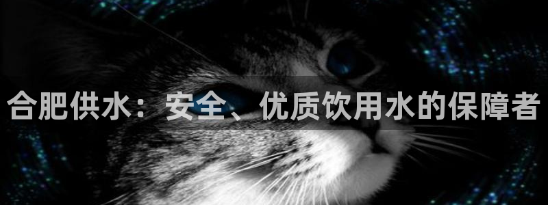 球友会聚餐发言