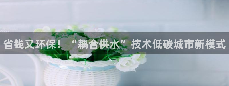 球友会体育app下载安卓最新版