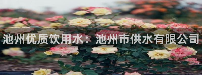 球友会提款不到账