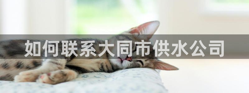 球友会app官方网站
