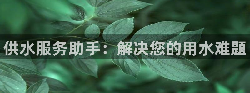 球友会是不是大平台