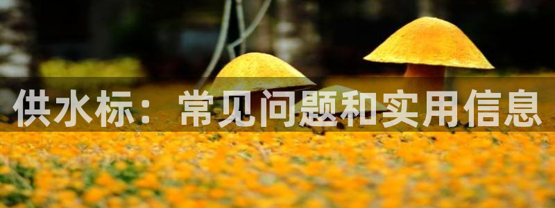 球友会比赛结果查询