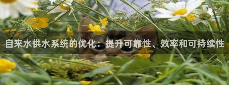 球友会提现不到账