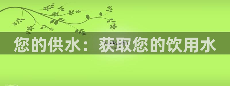 球友会提款不到账