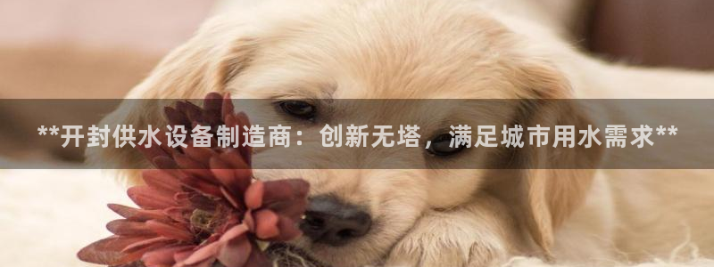 球友会比赛结果查询网站