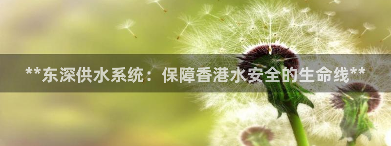 球友会app安全吗可靠吗