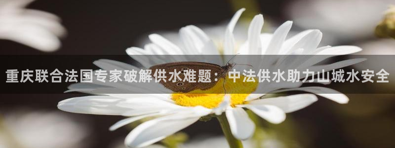 球友会软件
