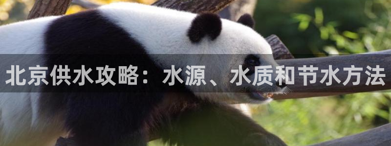 球友会入口