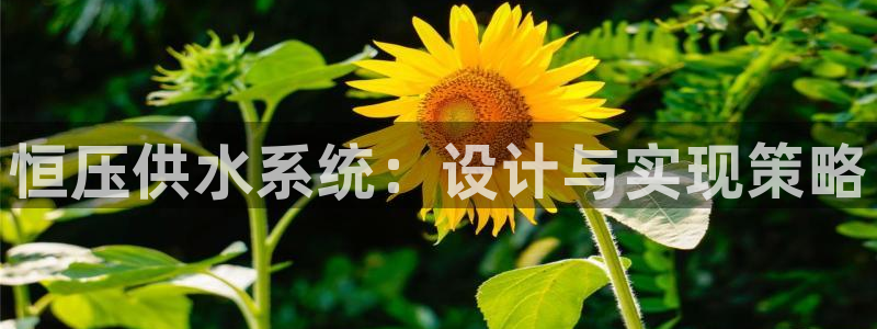 球友会提款审核