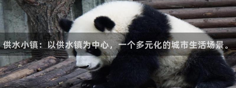 球友会官网入口网址