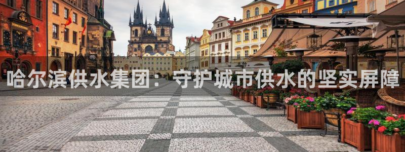 球友会qy怎么进不去