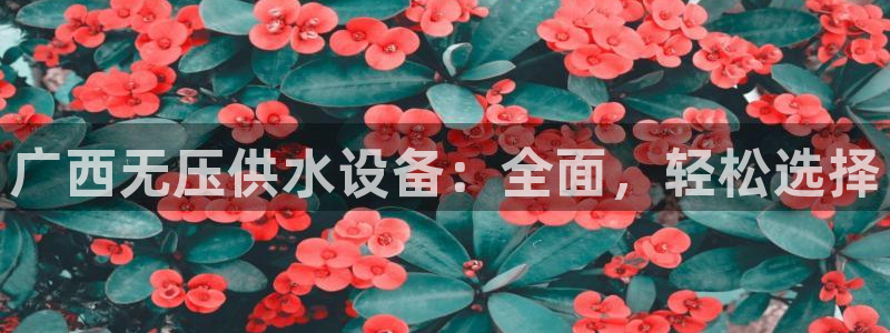 球友会比赛结果查询