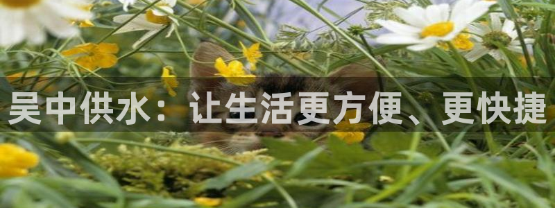 球友会体育app官方版下载安装